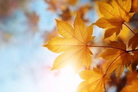 20-октябрь күнги ҳаўа райы мағлыўматлары