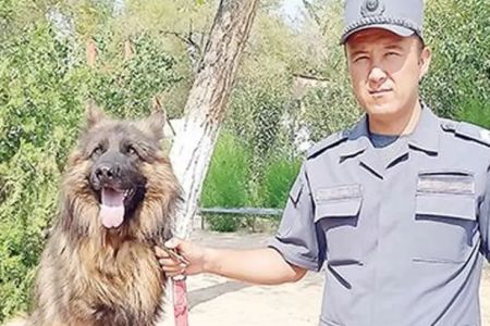 Адамға садық дос: Қарақалпақстанда 134 жынаят хызмет ийтлери жәрдеминде ашылды