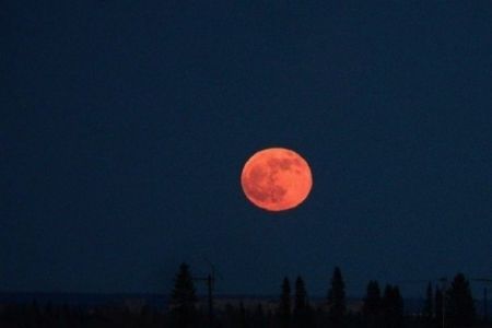 Соңғы 100 жыллықтағы ең узақ даўам ететуғын ай тутылыўы болады