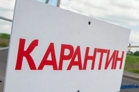 Нөкис қаласы ҳәм «жасыл» категориядағы барлық районларда бирнеше хызмет түрлерине рухсат берилди