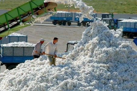 Қарақалпақстан пахта жетистириў жобасын орынлады