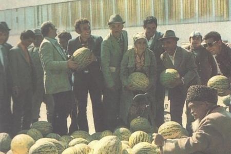 Қарақалпақстанда қаўын өсириўшиликтиң қысқаша тарийхы