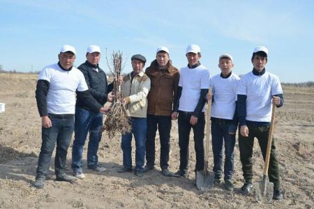 НМПИ студентлери Арал бойы аймағында бағ жаратыў жумысларына белсене қатнасты