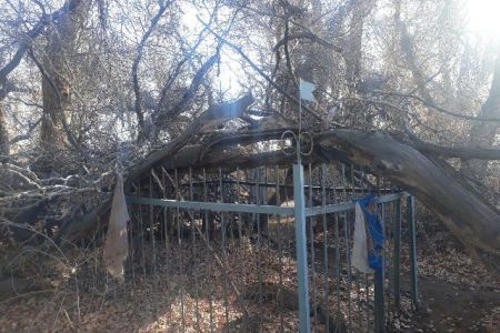 Қараўсыз қалған зыярат орнына қашан итибар қаратылады?
